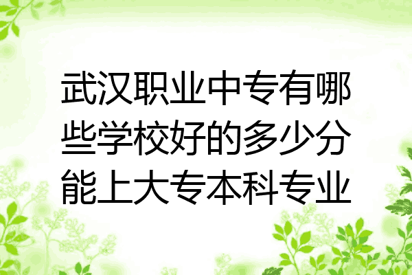 武汉职业中专有哪些学校好的多少分能上大专本科专业