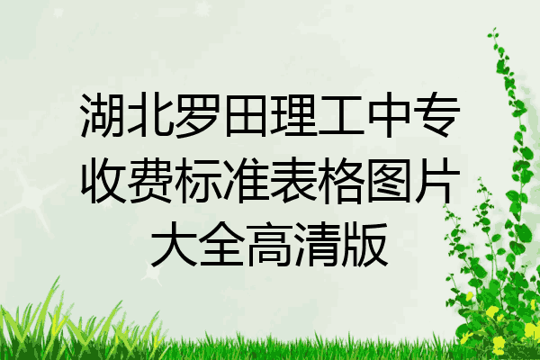 湖北罗田理工中专收费标准表格图片大全高清版