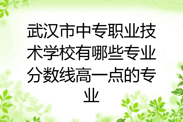 武汉市中专职业技术学校有哪些专业分数线高一点的专业
