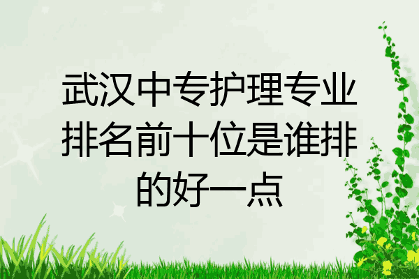武汉中专护理专业排名前十位是谁排的好一点