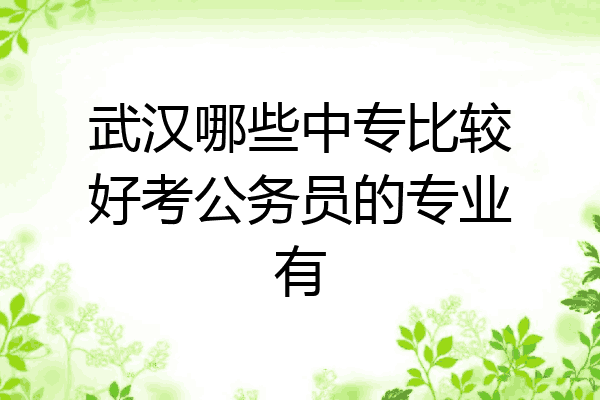 武汉哪些中专比较好考公务员的专业有