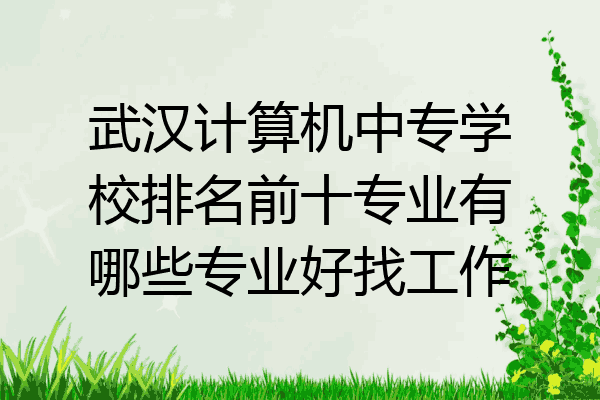 武汉计算机中专学校排名前十专业有哪些专业好找工作