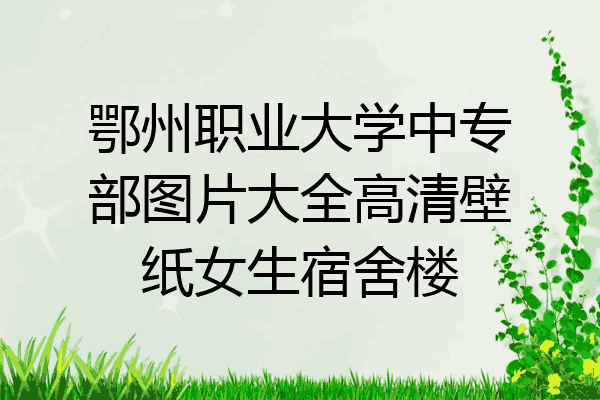 鄂州职业大学中专部图片大全高清壁纸女生宿舍楼