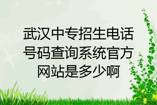 武汉中专招生电话号码查询系统官方网站是多少啊
