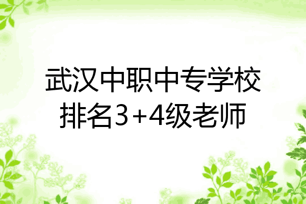 武汉中职中专学校排名3+4级老师