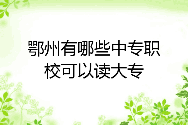 鄂州有哪些中专职校可以读大专