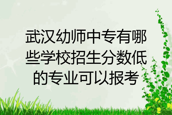 武汉幼师中专有哪些学校招生分数低的专业可以报考