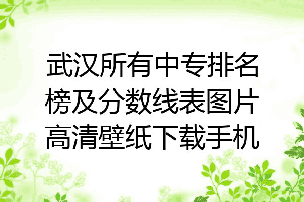 武汉所有中专排名榜及分数线表图片高清壁纸下载手机