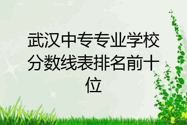 武汉中专专业学校分数线表排名前十位