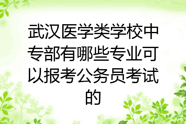 武汉医学类学校中专部有哪些专业可以报考公务员考试的