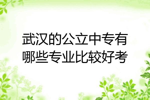 武汉的公立中专有哪些专业比较好考