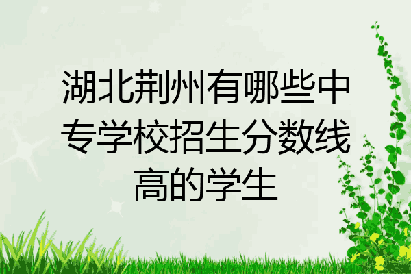 湖北荆州有哪些中专学校招生分数线高的学生