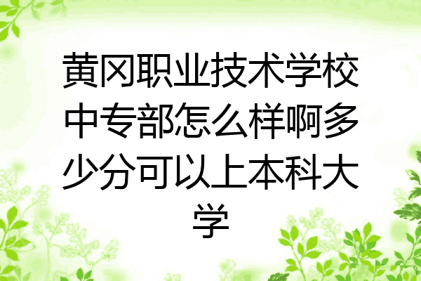 黄冈职业技术学校中专部怎么样啊多少分可以上本科大学