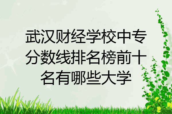武汉财经学校中专分数线排名榜前十名有哪些大学