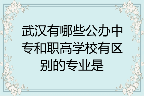 武汉有哪些公办中专和职高学校有区别的专业是