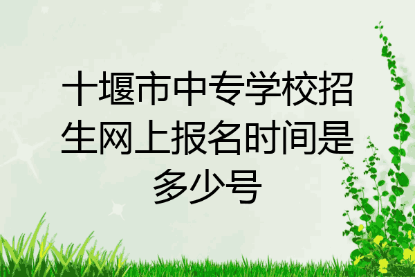十堰市中专学校招生网上报名时间是多少号