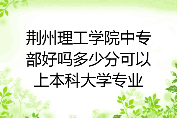 荆州理工学院中专部好吗多少分可以上本科大学专业