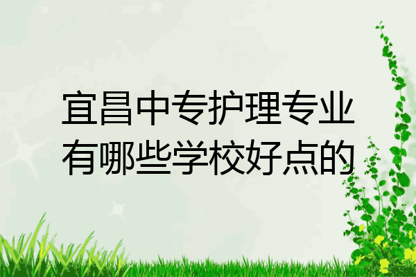 宜昌中专护理专业有哪些学校好点的