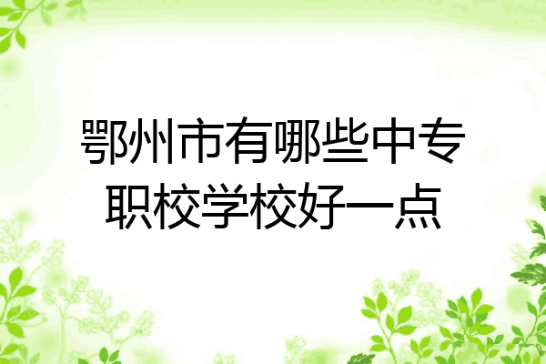 鄂州市有哪些中专职校学校好一点
