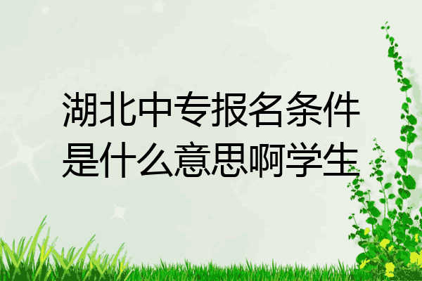 湖北中专报名条件是什么意思啊学生