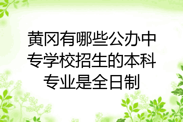黄冈有哪些公办中专学校招生的本科专业是全日制