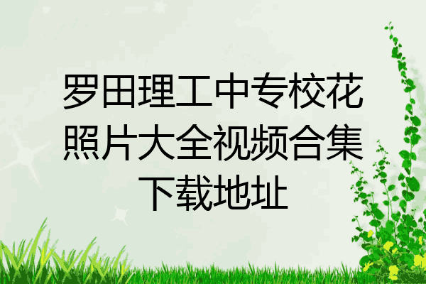 罗田理工中专校花照片大全视频合集下载地址