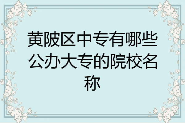 黄陂区中专有哪些公办大专的院校名称