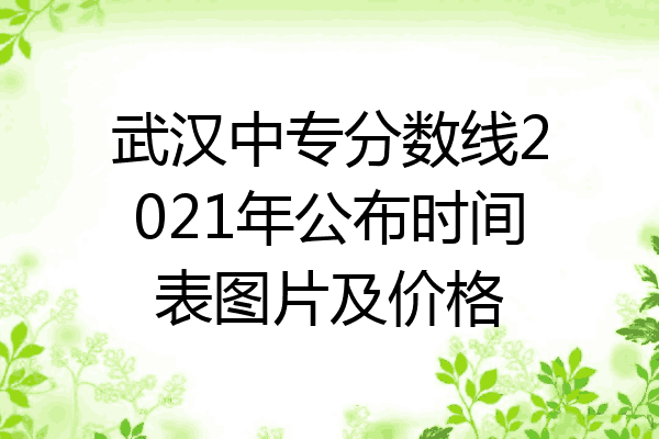 武汉中专分数线2021年公布时间表图片及价格