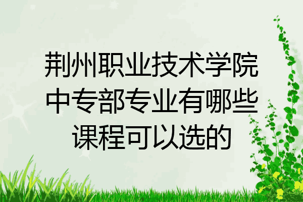 荆州职业技术学院中专部专业有哪些课程可以选的