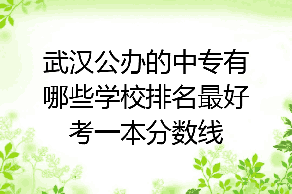 武汉公办的中专有哪些学校排名最好考一本分数线