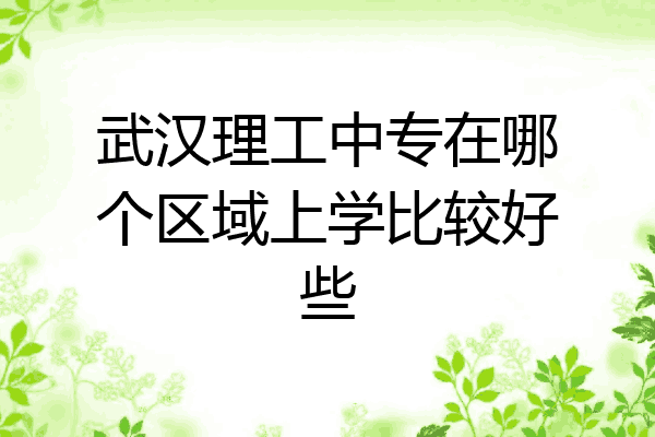 武汉理工中专在哪个区域上学比较好些