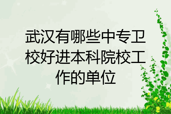 武汉有哪些中专卫校好进本科院校工作的单位