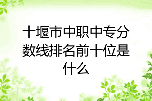 十堰市中职中专分数线排名前十位是什么