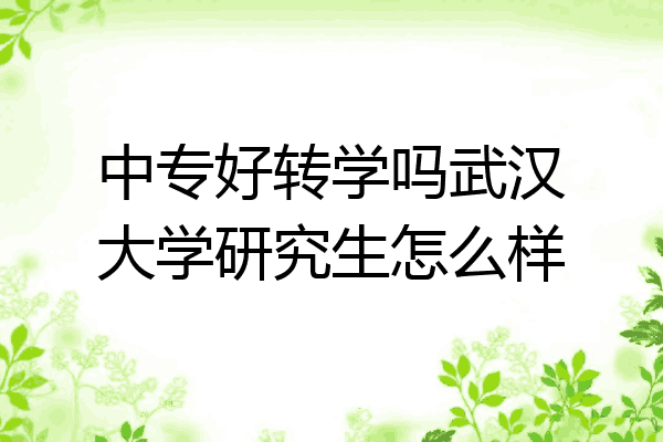 中专好转学吗武汉大学研究生怎么样
