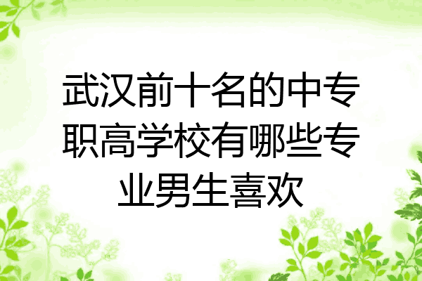 武汉前十名的中专职高学校有哪些专业男生喜欢