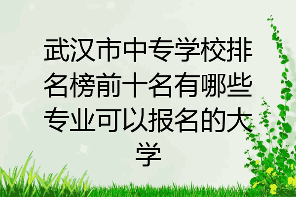 武汉市中专学校排名榜前十名有哪些专业可以报名的大学