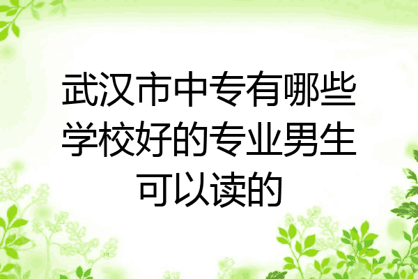 武汉市中专有哪些学校好的专业男生可以读的