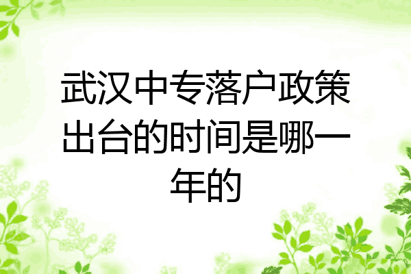 武汉中专落户政策出台的时间是哪一年的