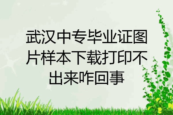 武汉中专毕业证图片样本下载打印不出来咋回事