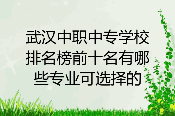 武汉中职中专学校排名榜前十名有哪些专业可选择的
