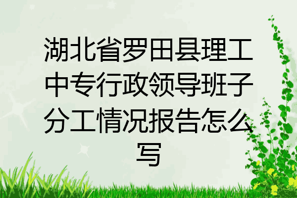湖北省罗田县理工中专行政领导班子分工情况报告怎么写