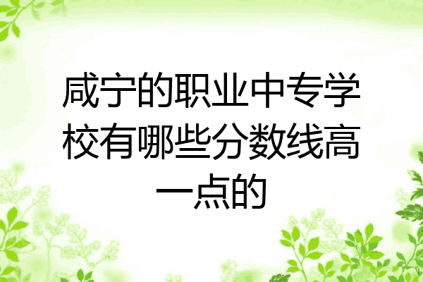 咸宁的职业中专学校有哪些分数线高一点的