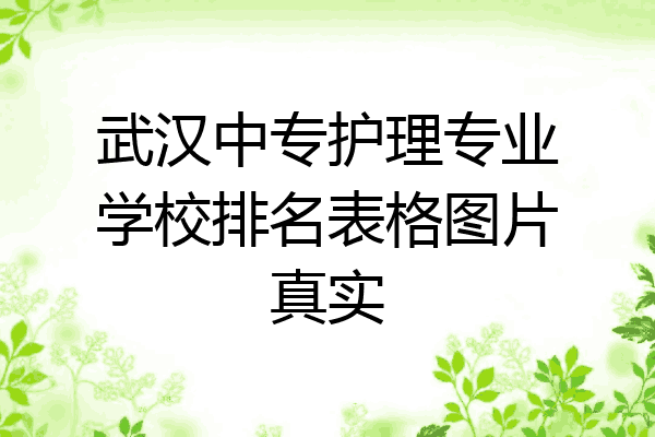 武汉中专护理专业学校排名表格图片真实