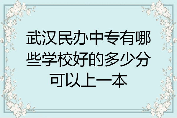 武汉民办中专有哪些学校好的多少分可以上一本