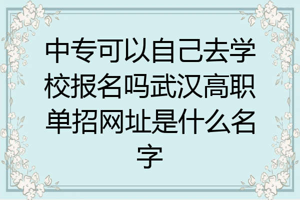 中专可以自己去学校报名吗武汉高职单招网址是什么名字