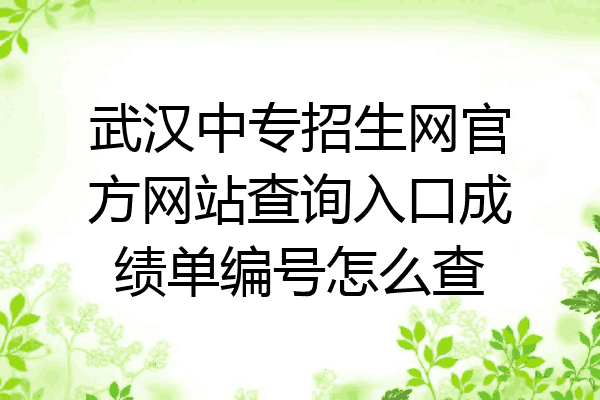 武汉中专招生网官方网站查询入口成绩单编号怎么查