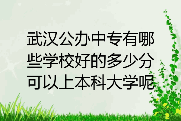 武汉公办中专有哪些学校好的多少分可以上本科大学呢