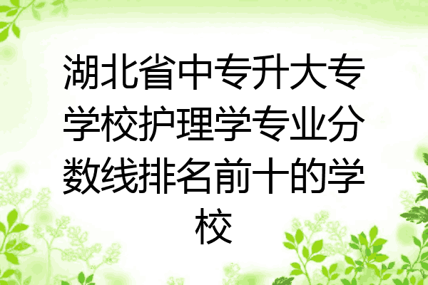 湖北省中专升大专学校护理学专业分数线排名前十的学校