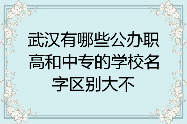 武汉有哪些公办职高和中专的学校名字区别大不