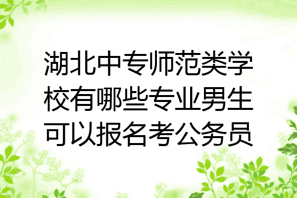 湖北中专师范类学校有哪些专业男生可以报名考公务员